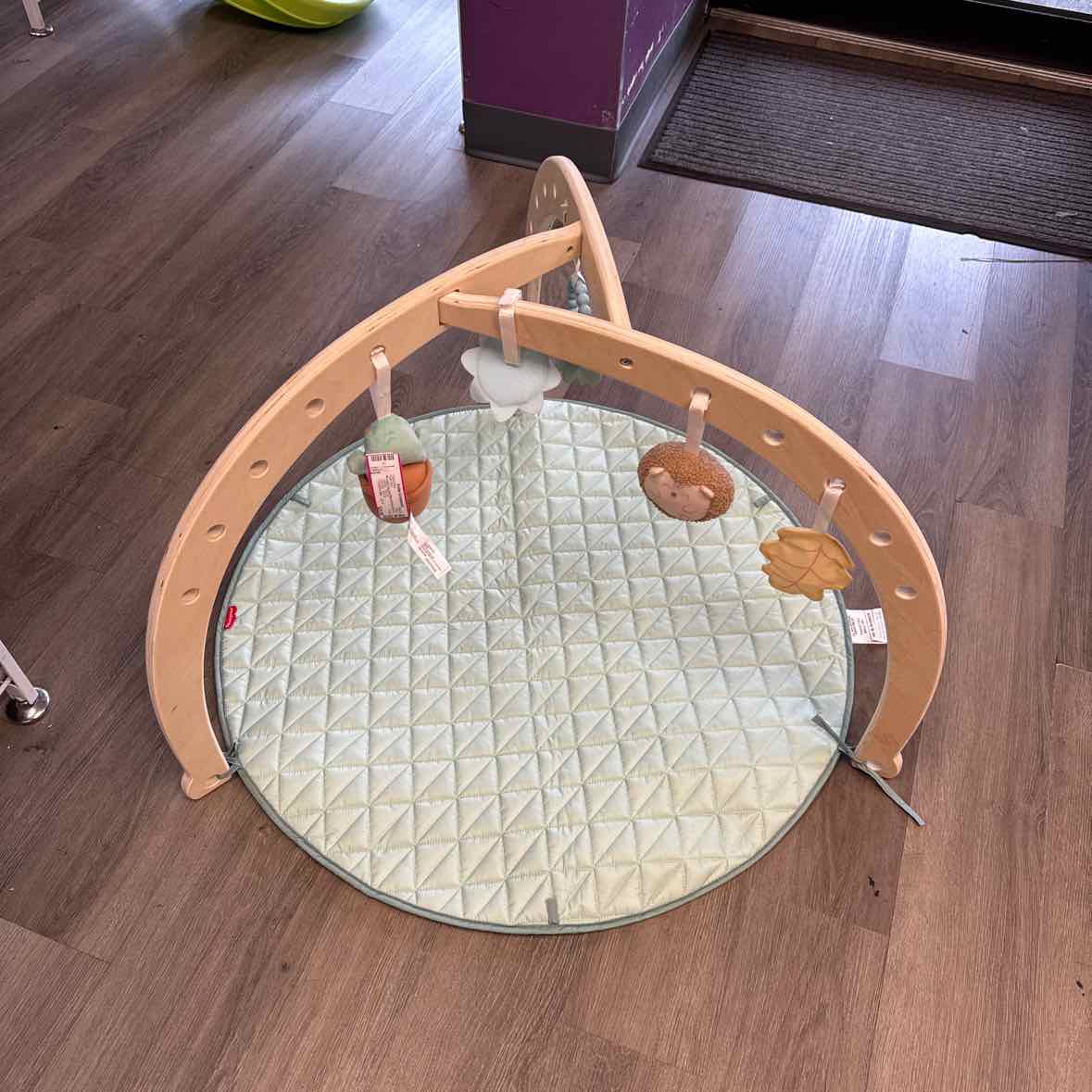 Fisher Price Green Floor Gym