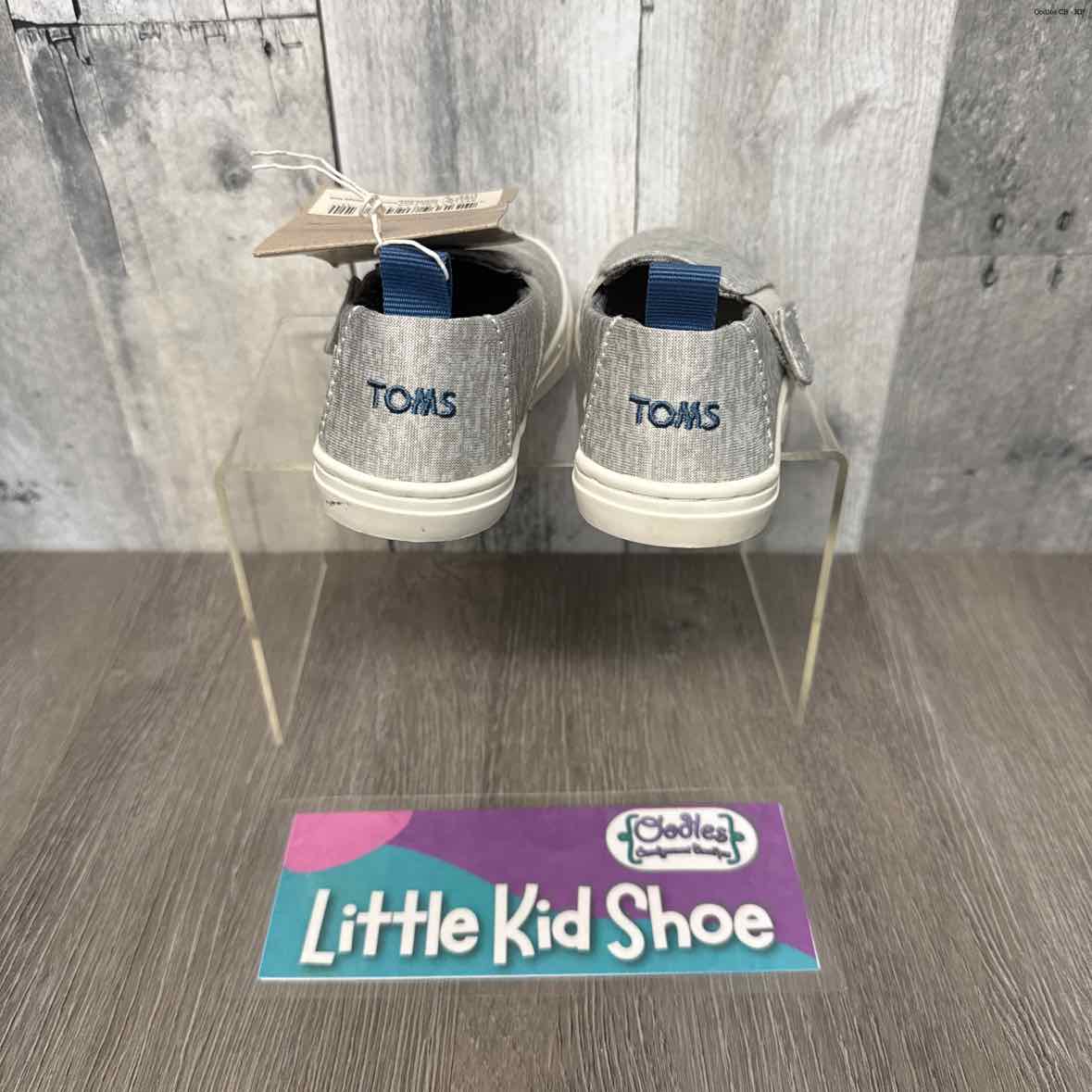 Size 6 Gray Toms Sneakers