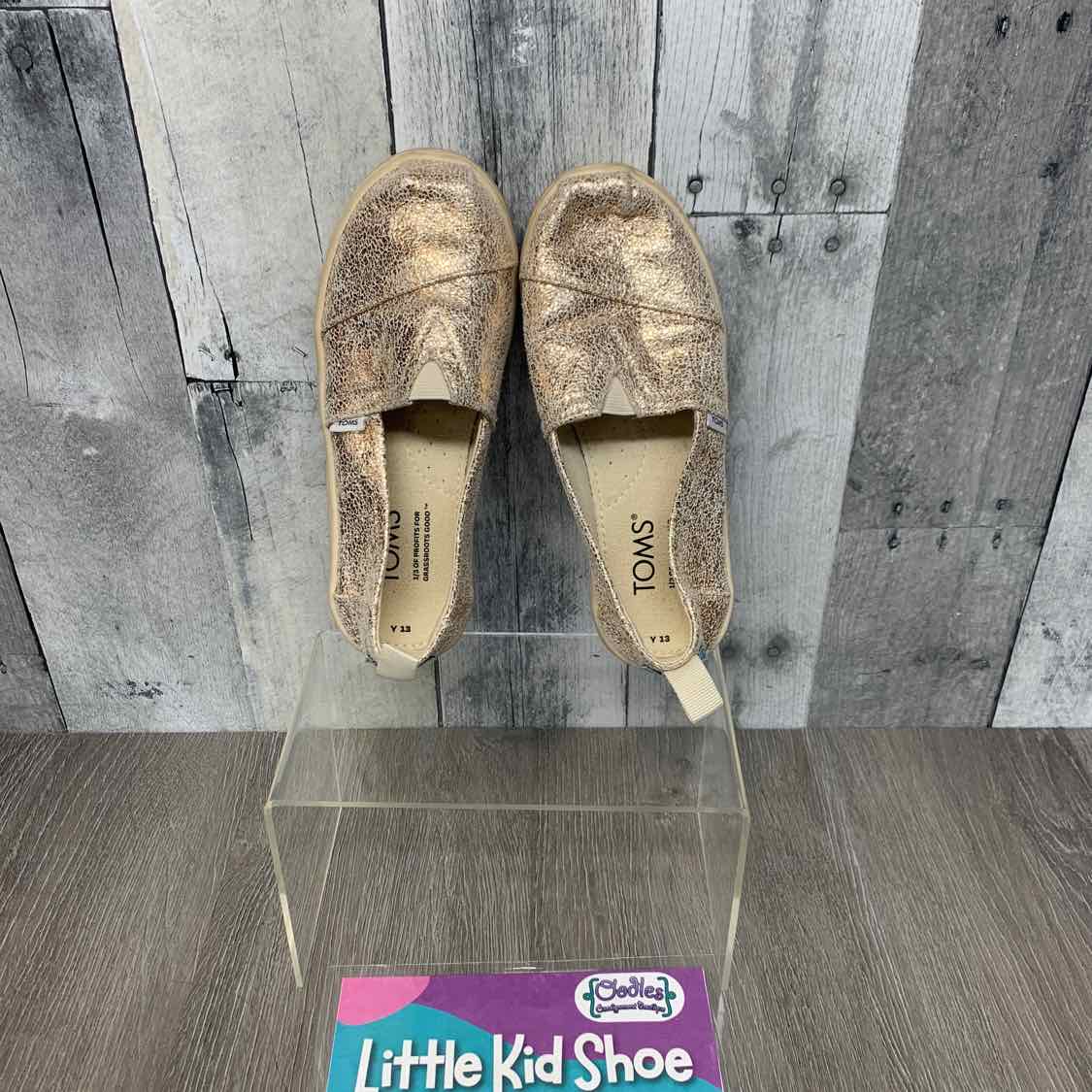 Size 13 Gold/Teal Toms Sneakers