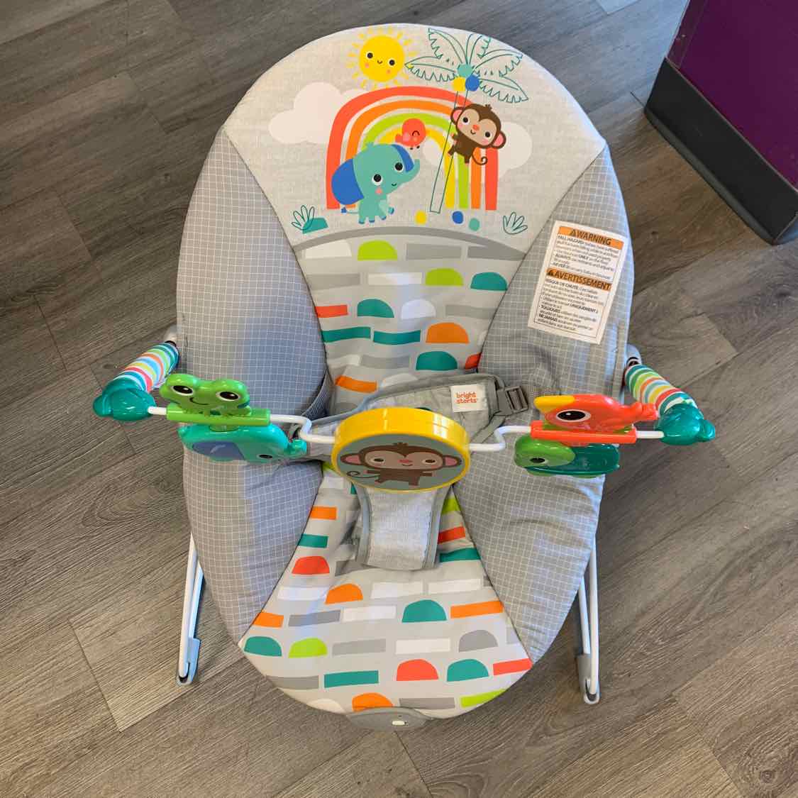 Bright Starts Gray/Teal Jungle Bouncer