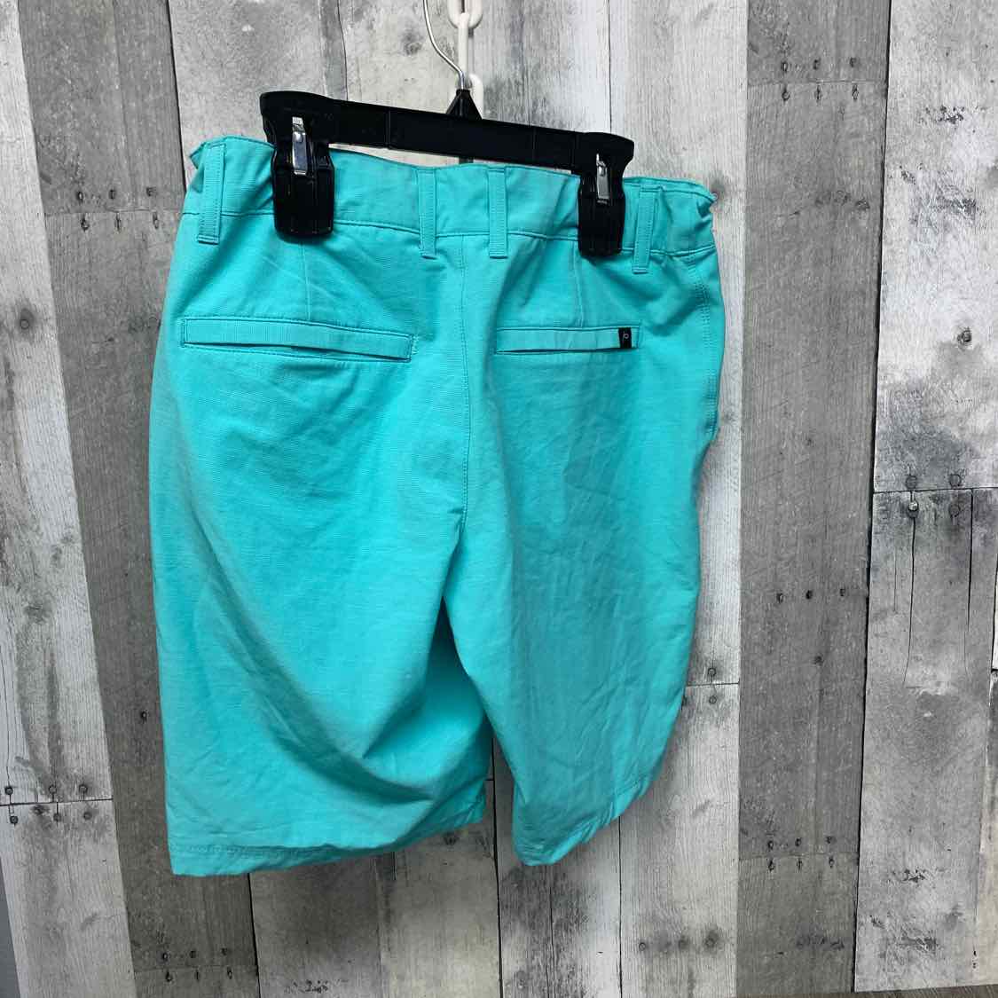 Size 16 Blue Art Class Shorts
