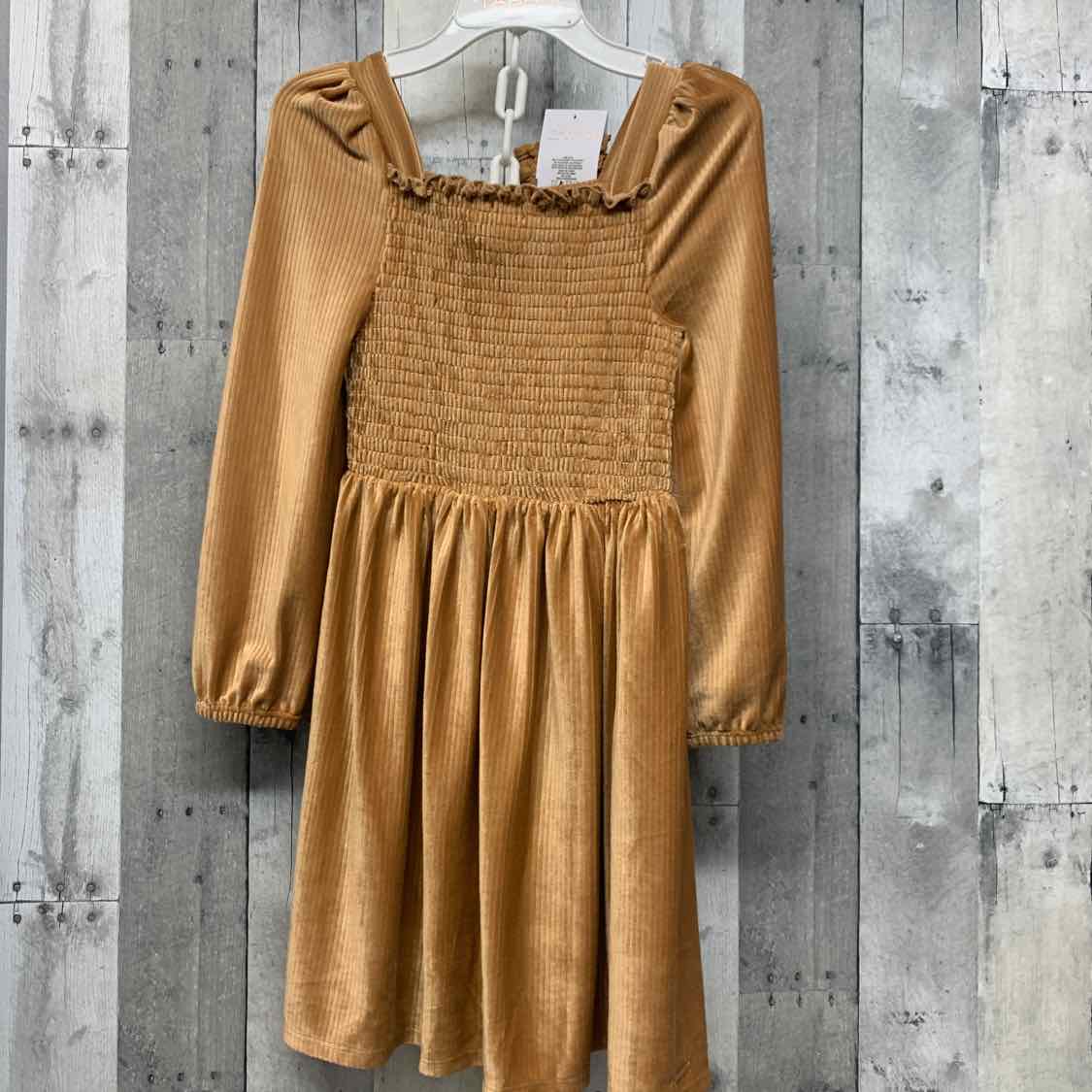 Size 8 Brown B Brand LS Dress