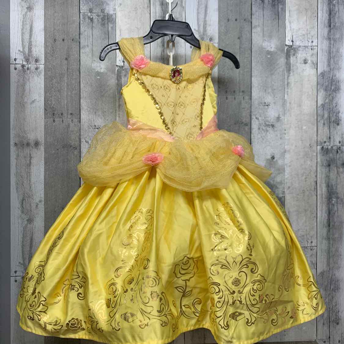 Disney Gold Size 3T/4T Halloween Costume - Little Kid