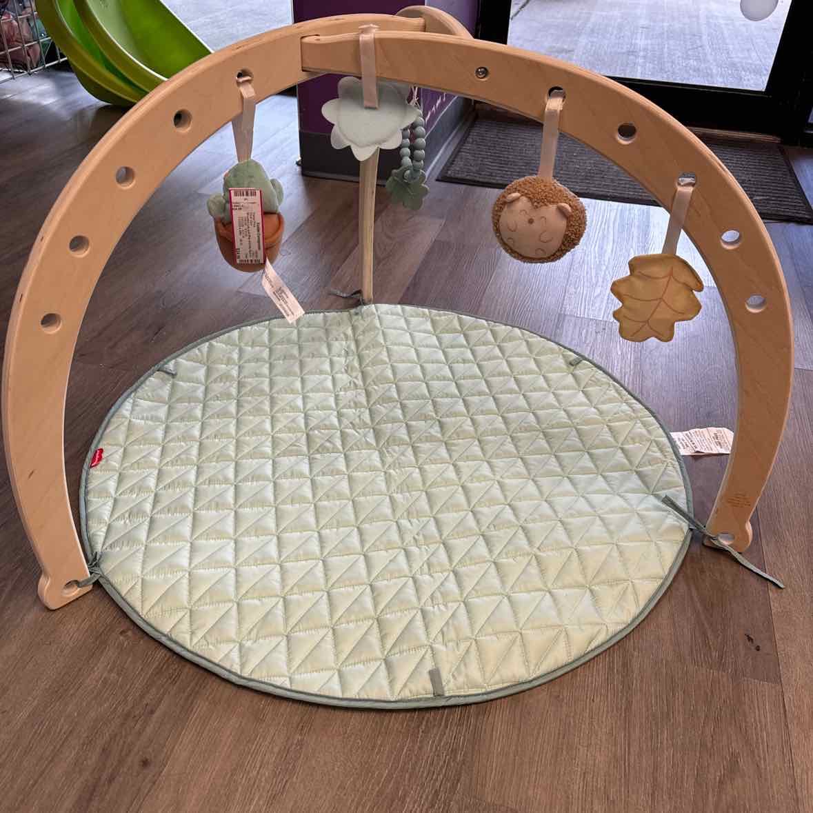 Fisher Price Green Floor Gym