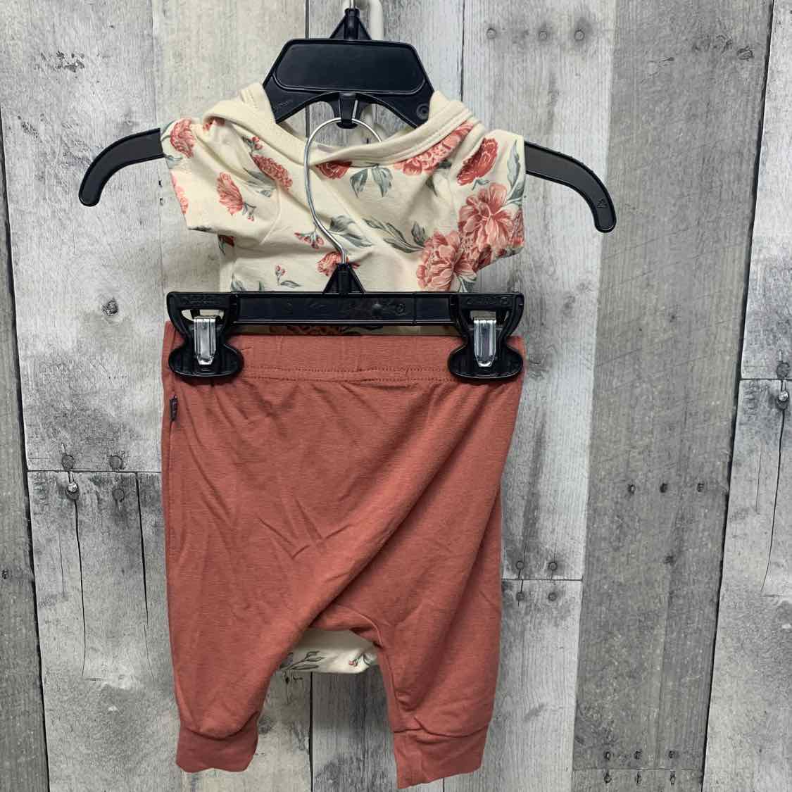 Size 0-3 Months Ivory/Pink Modern Moments by Gerber Shirt/Pants