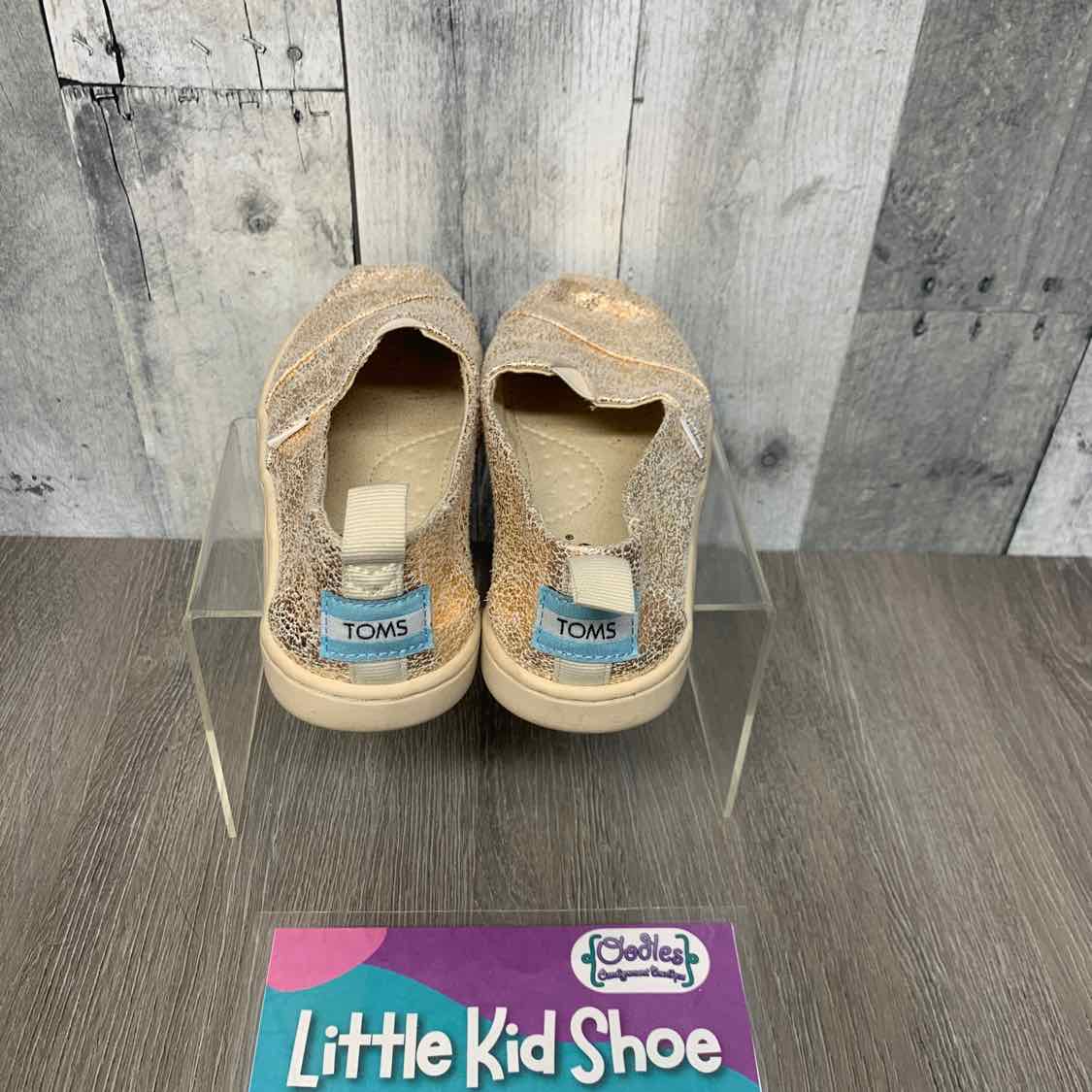 Size 13 Gold/Teal Toms Sneakers