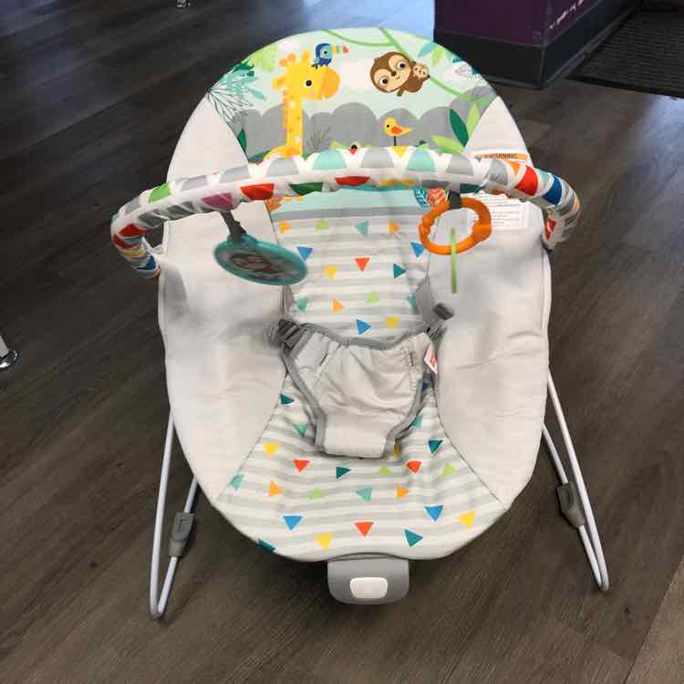 Bright Starts Gray/Teal Jungle Bouncer