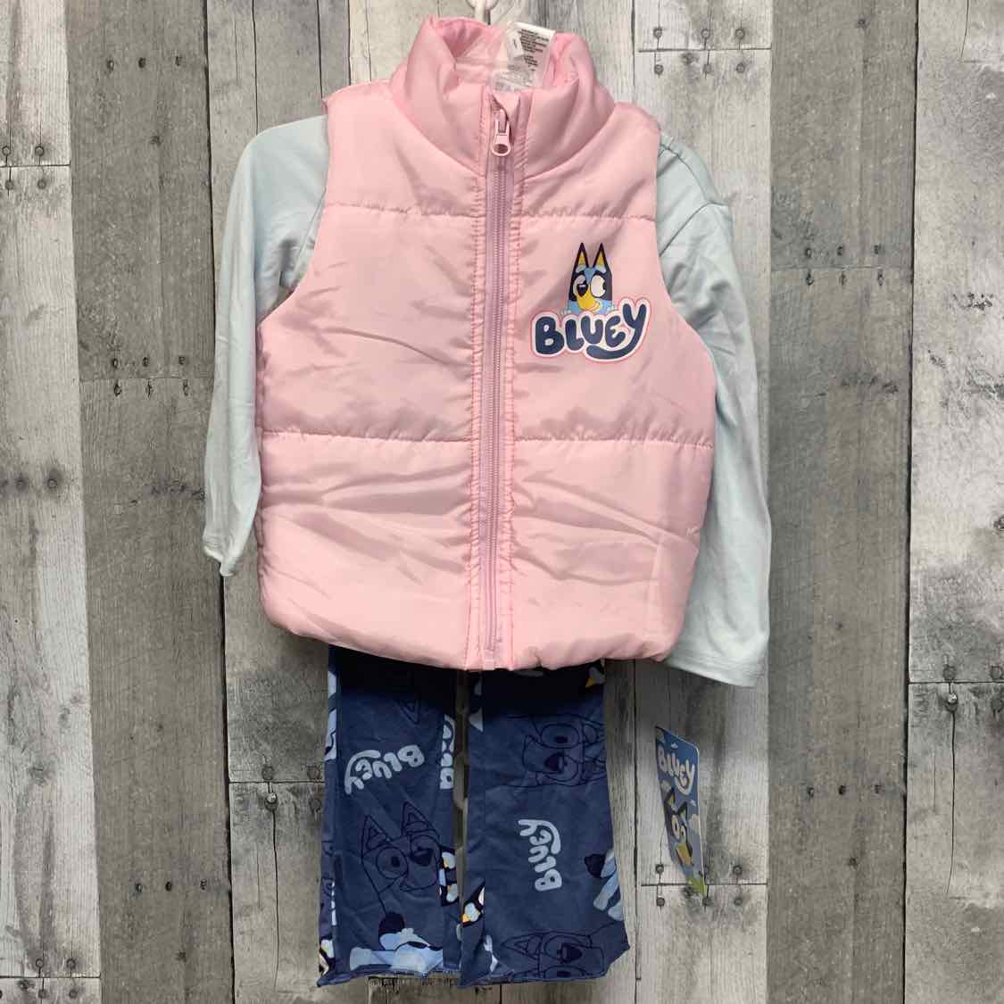 Size 2T Pink/Blue Disney Jacket/Pants