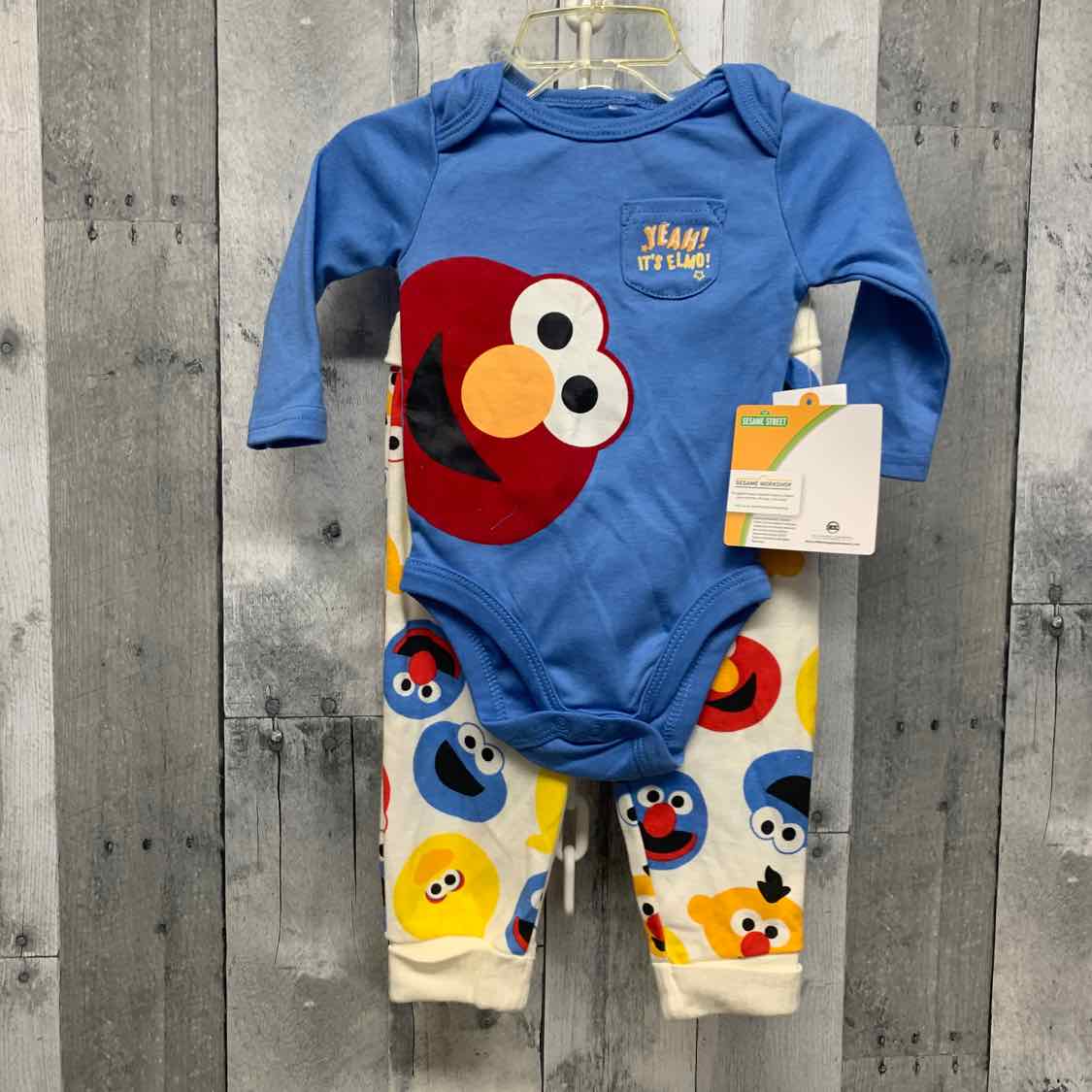 Size 9 Months Blue/White Sesame Street Shirt/Pants