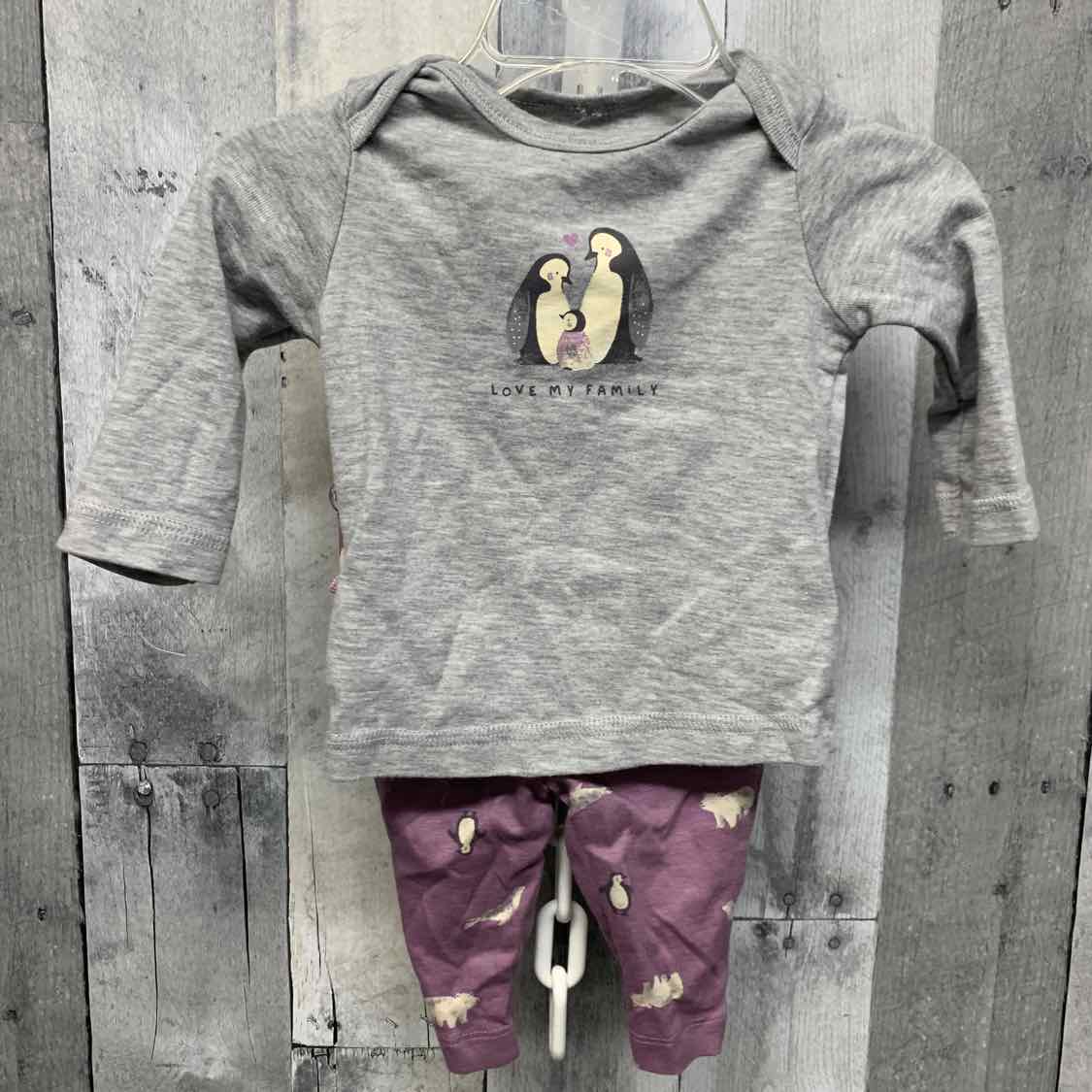 Size 3 Months Gray/Purple Carter's Shirt/Leggings