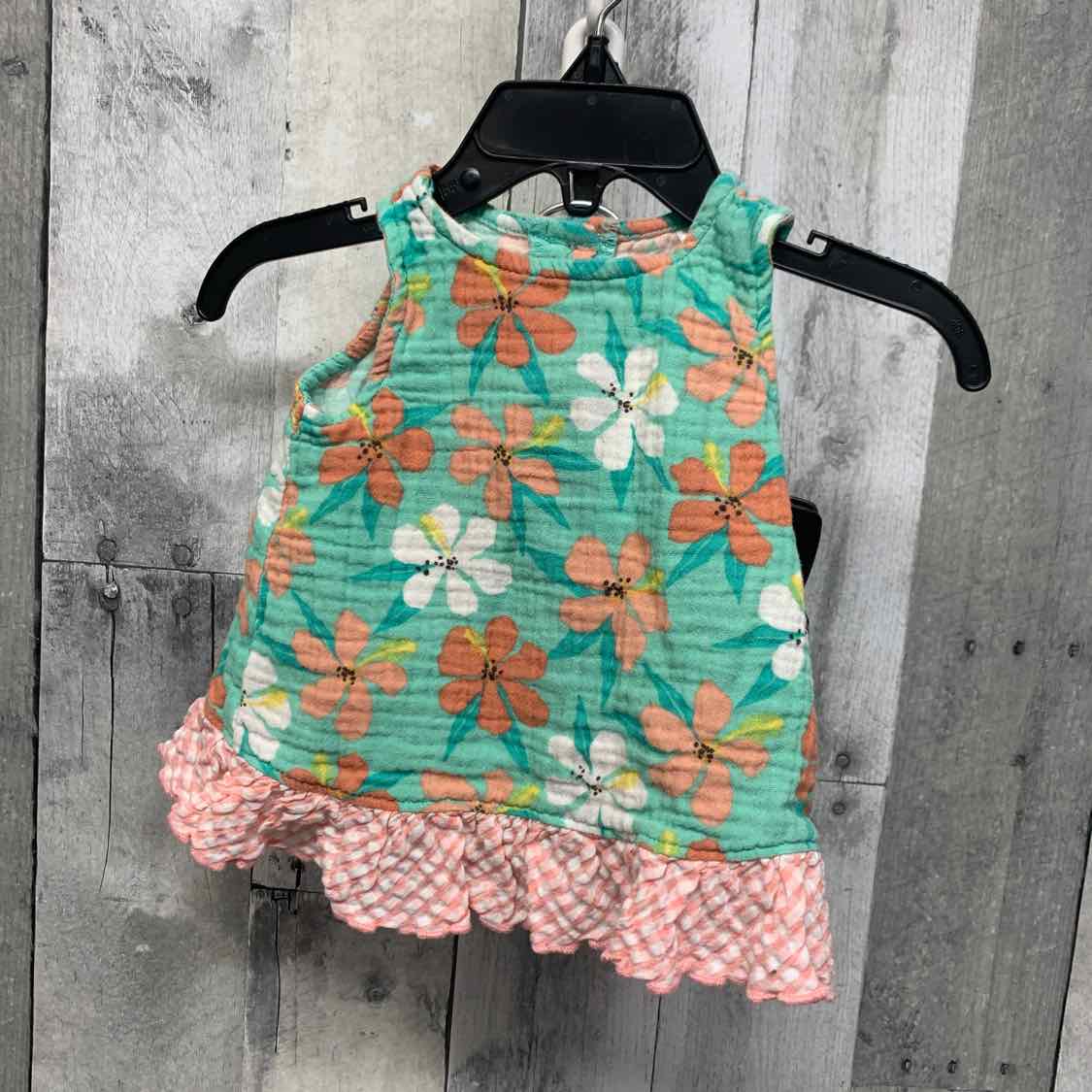 Size 9 Months Teal/Pink Baby Essentials Shirt/Shorts