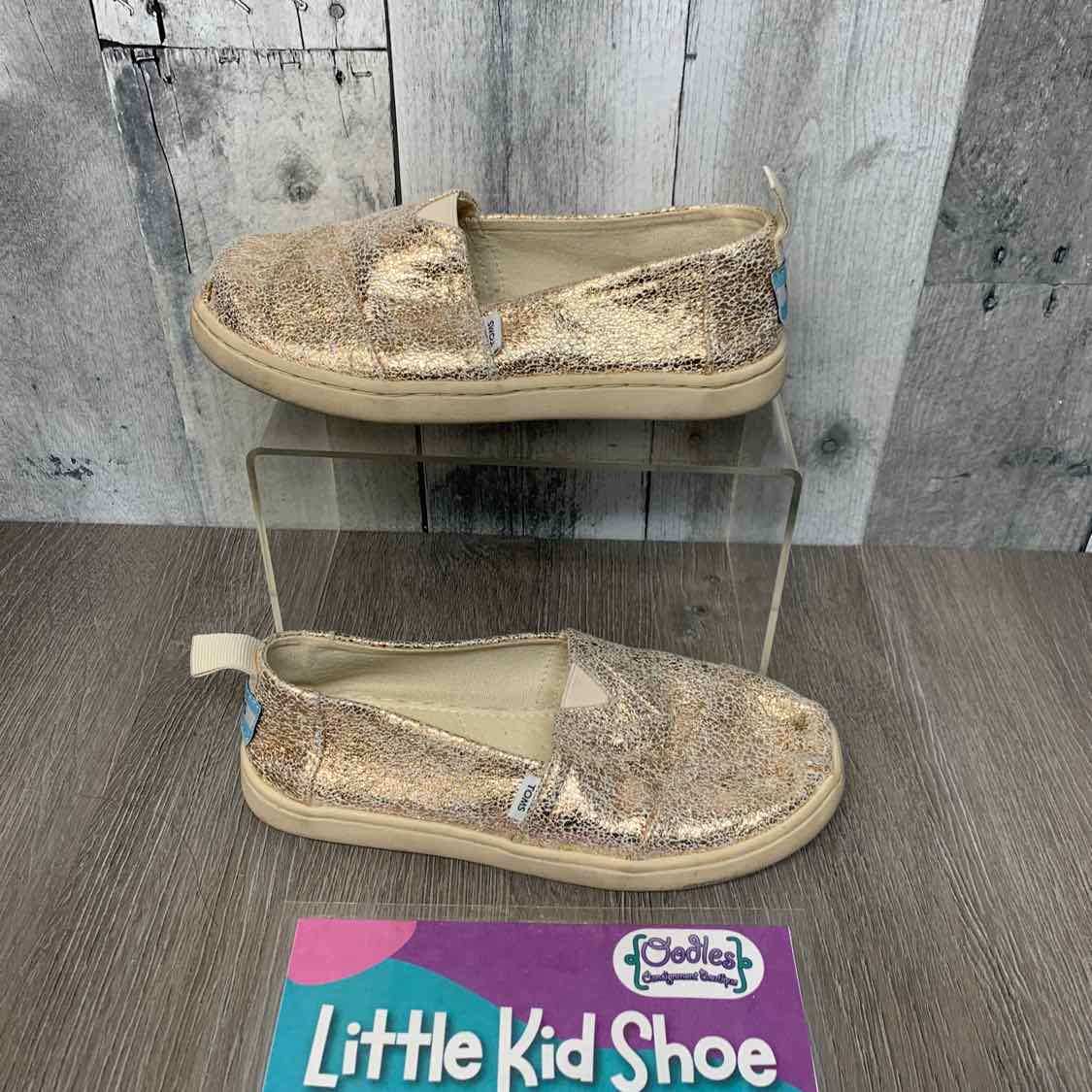 Size 13 Gold/Teal Toms Sneakers