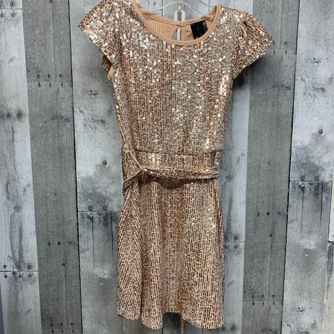 Size 6 Tan/Gold 2 Hip Dress
