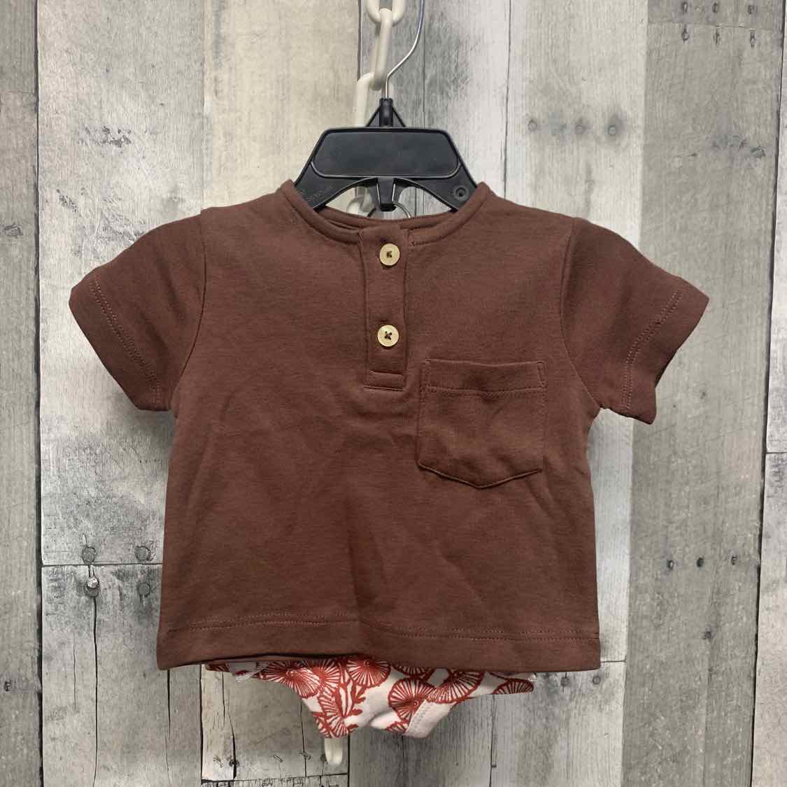 Size 3-6 Months Brown Kate Quinn Shirt/Shorts