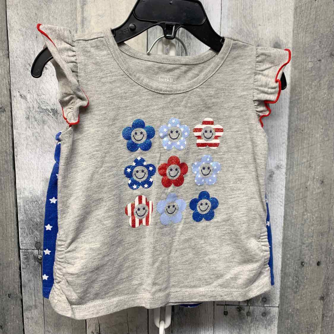Size 2T Gray/Blue Holiday Brands Shirt/Shorts