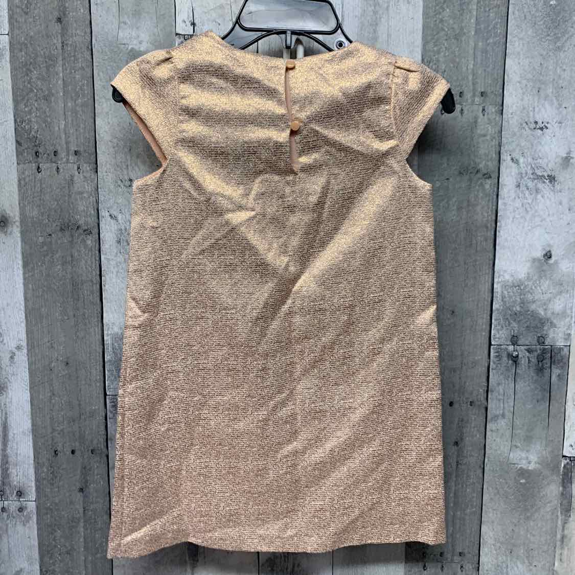 Size 6 Rose Gold Gymboree Dress