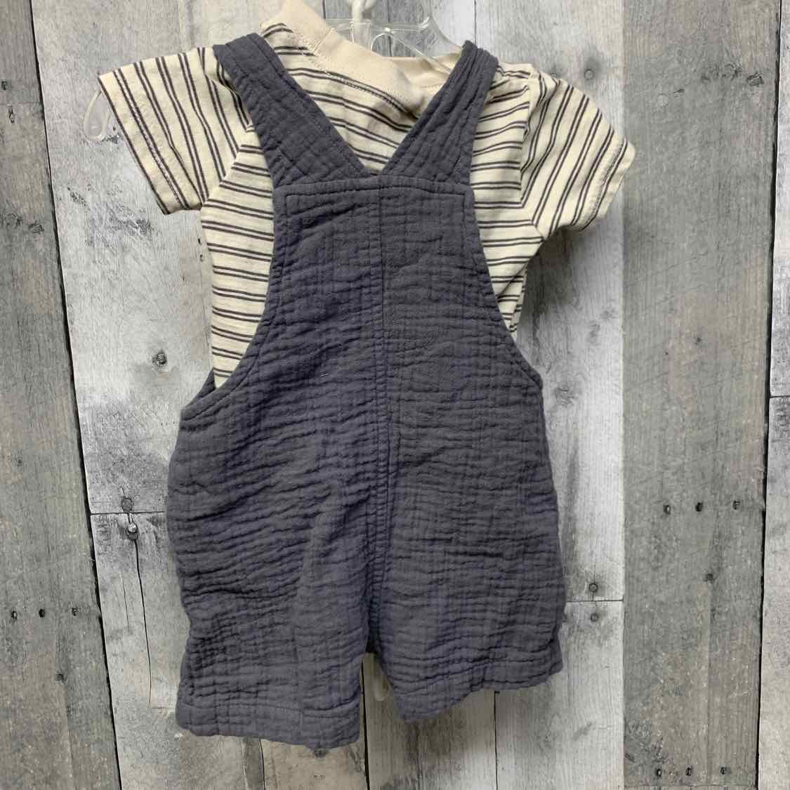 Size 3-6 Months Gray/Tan Carter's Shirt/Shorts