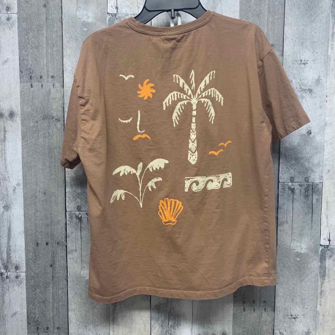 Size 13/14 Brown Zara T Shirt