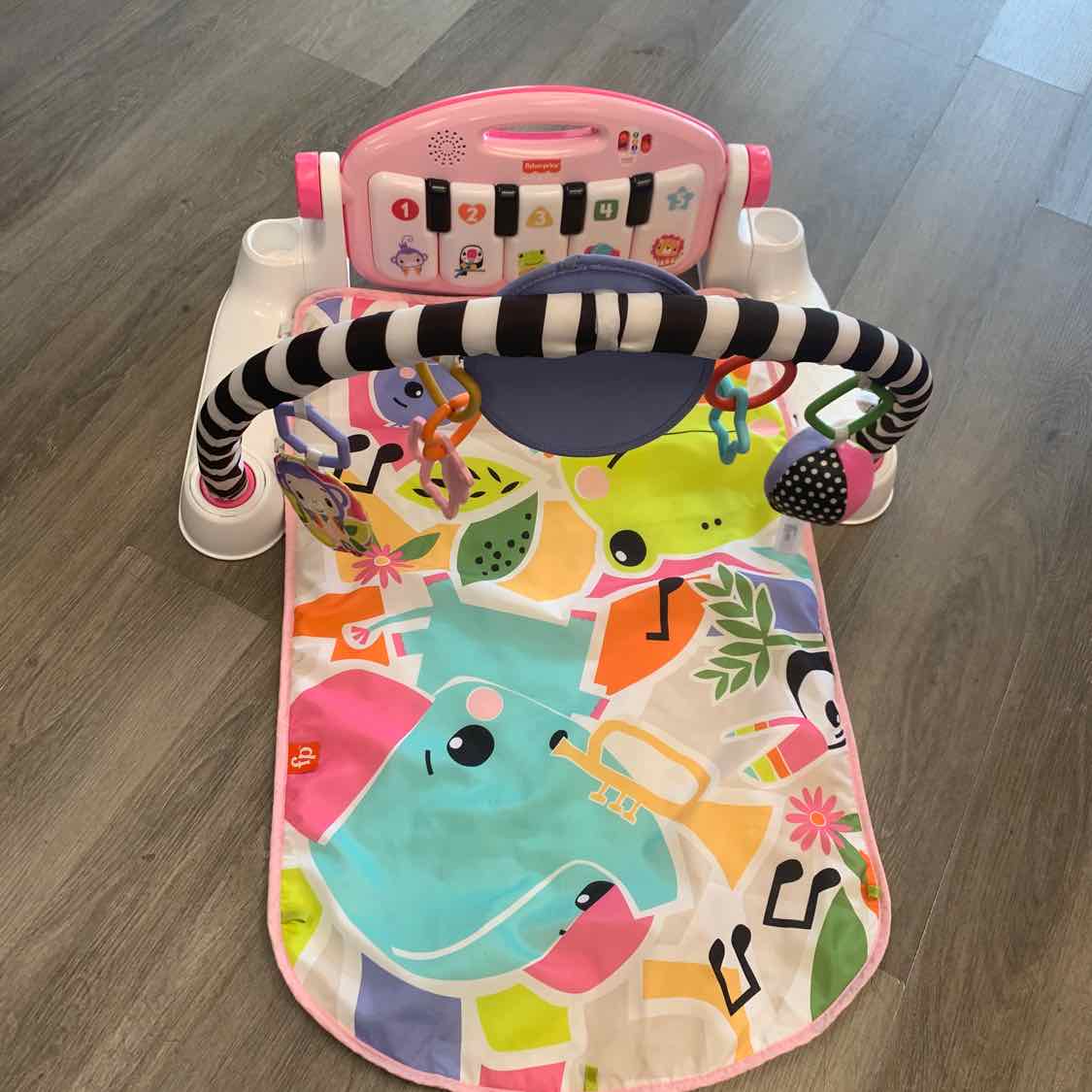 Fisher Price Pink/Green Floor Gym