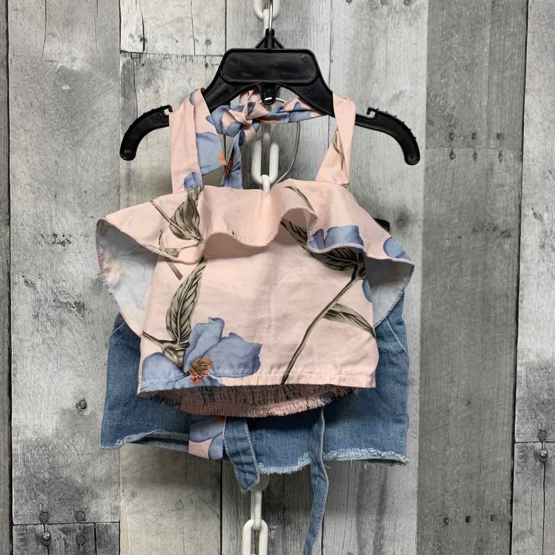 Size 9-12 Months Denim/Pink Bailey's Blossoms Shirt/Skirt