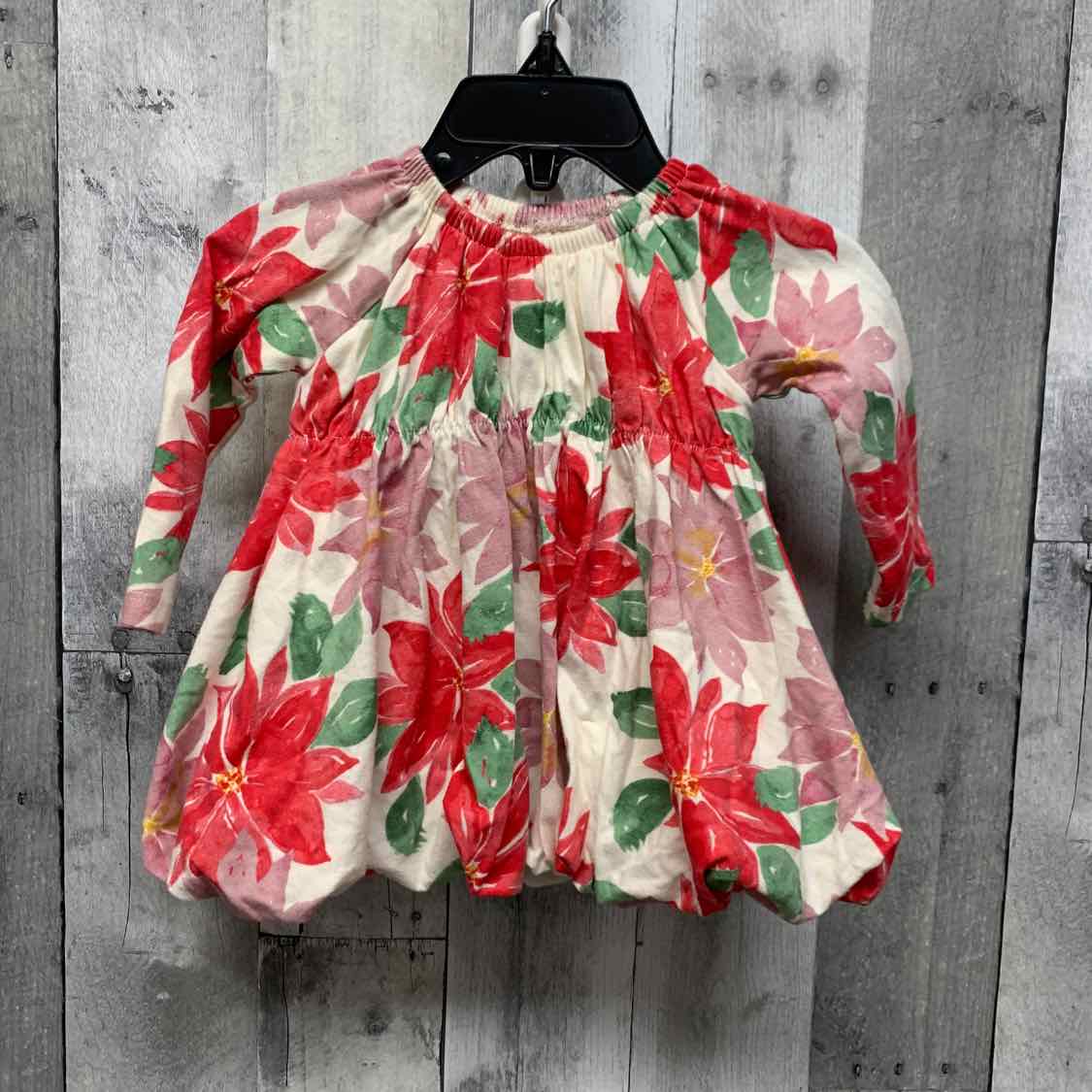 Size 0-3 Months Ivory/Red Burt's Bees Baby LS Dress