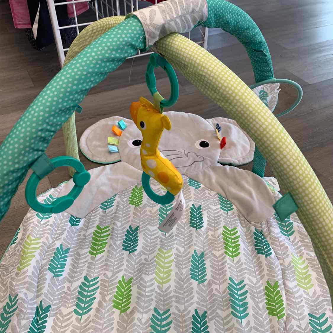 Bright Starts Gray/Green Floor Gym