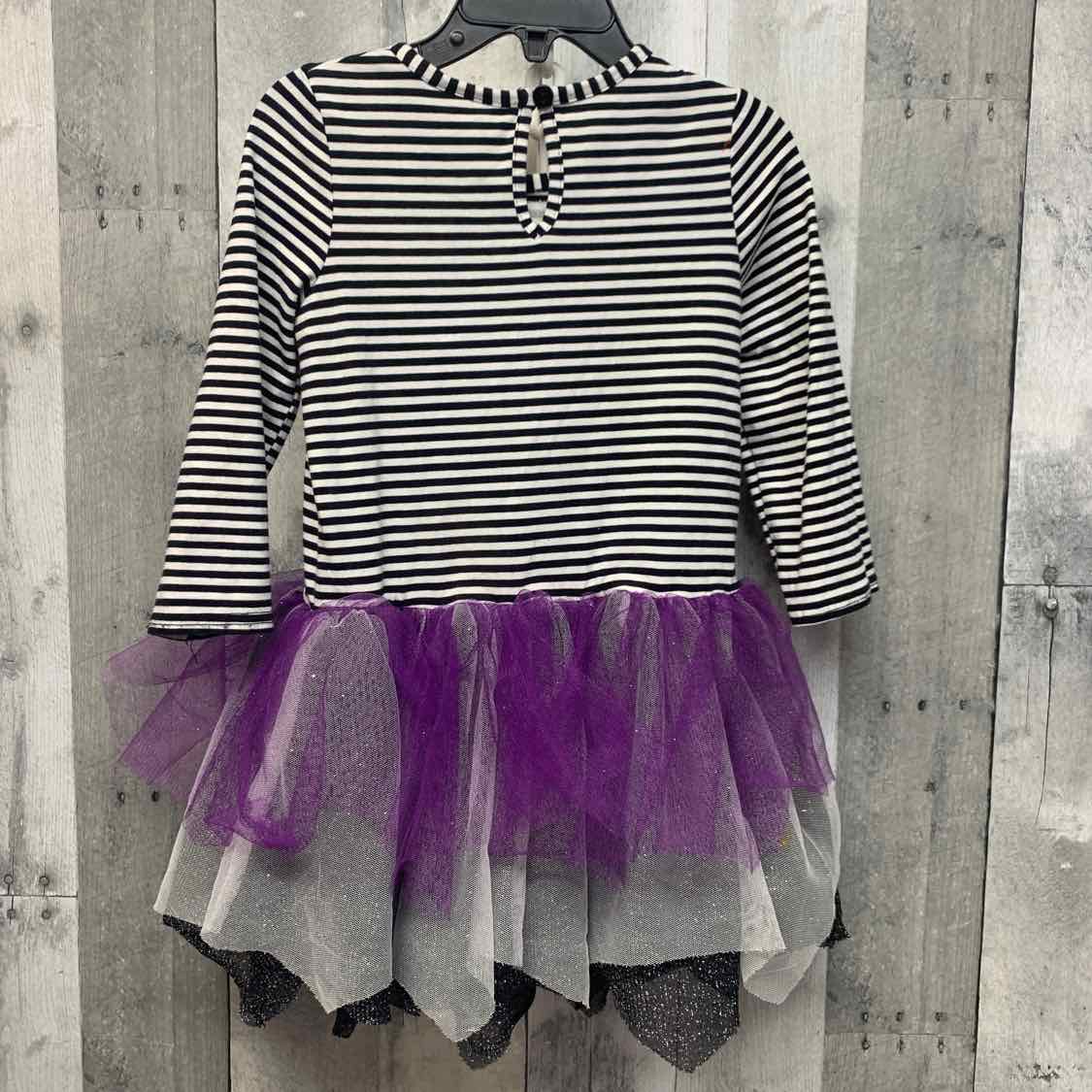 Size 3T Black/Purple Emily Rose Dress