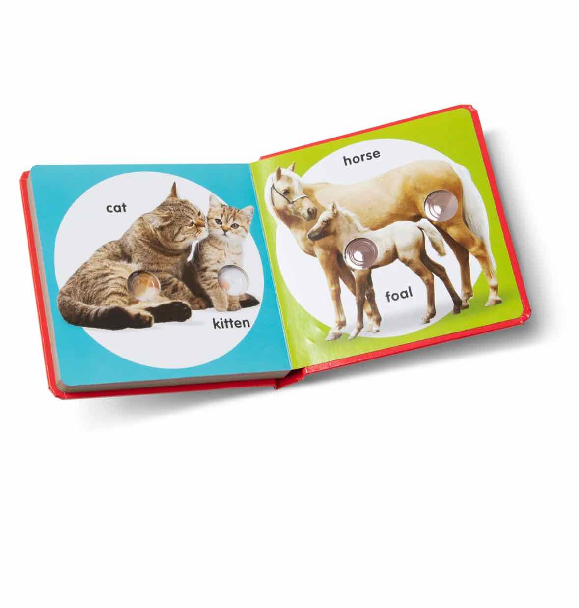 Melissa & Doug Poke-A-Dot - Pet Families