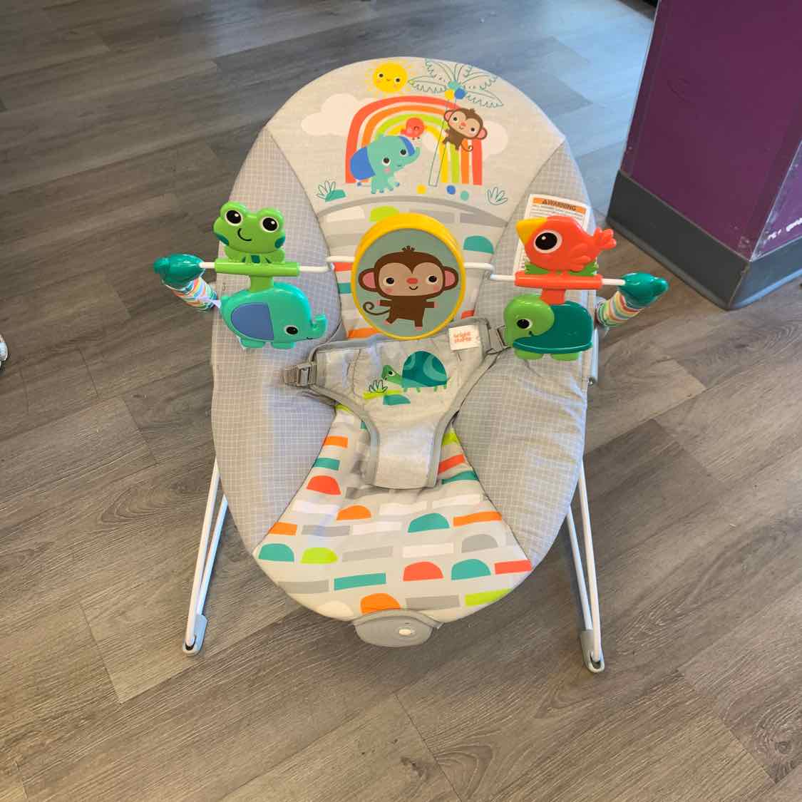Bright Starts Gray/Teal Jungle Bouncer