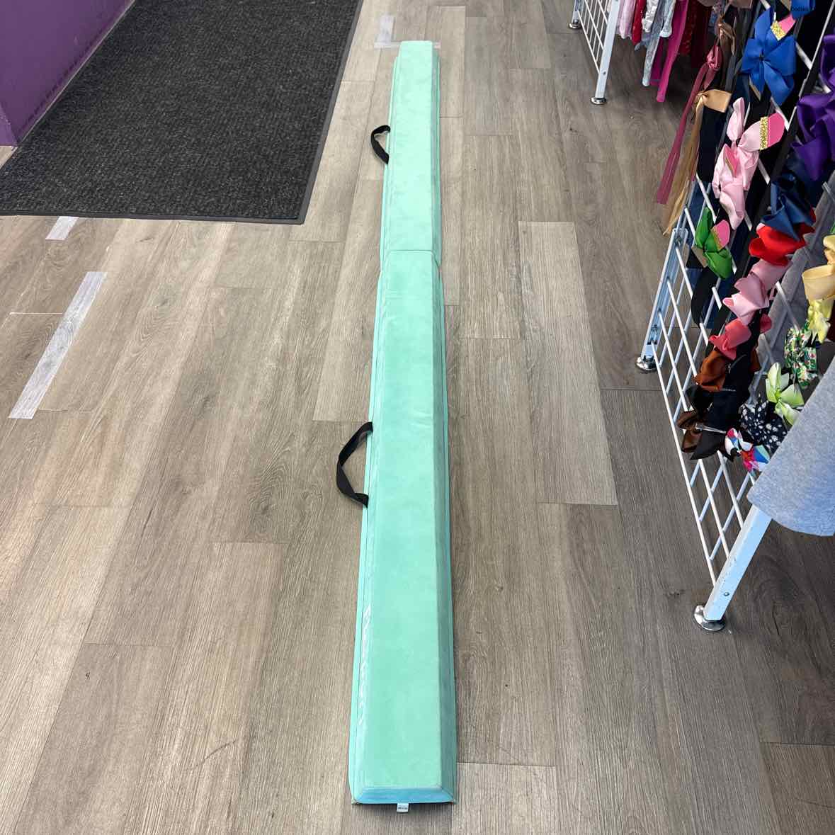 Generic Teal Misc Sports Toy