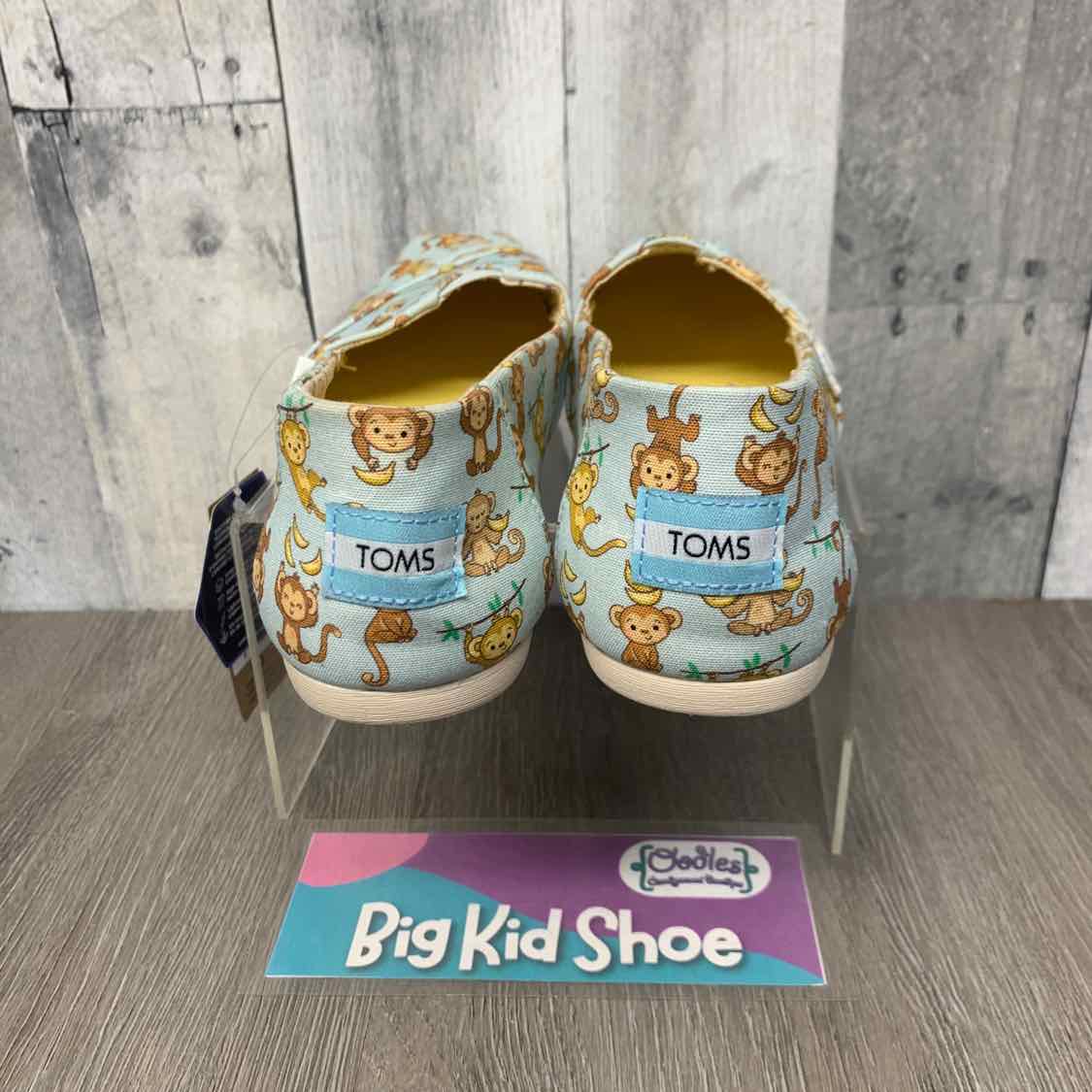Size 7 Blue Print Toms Sneakers
