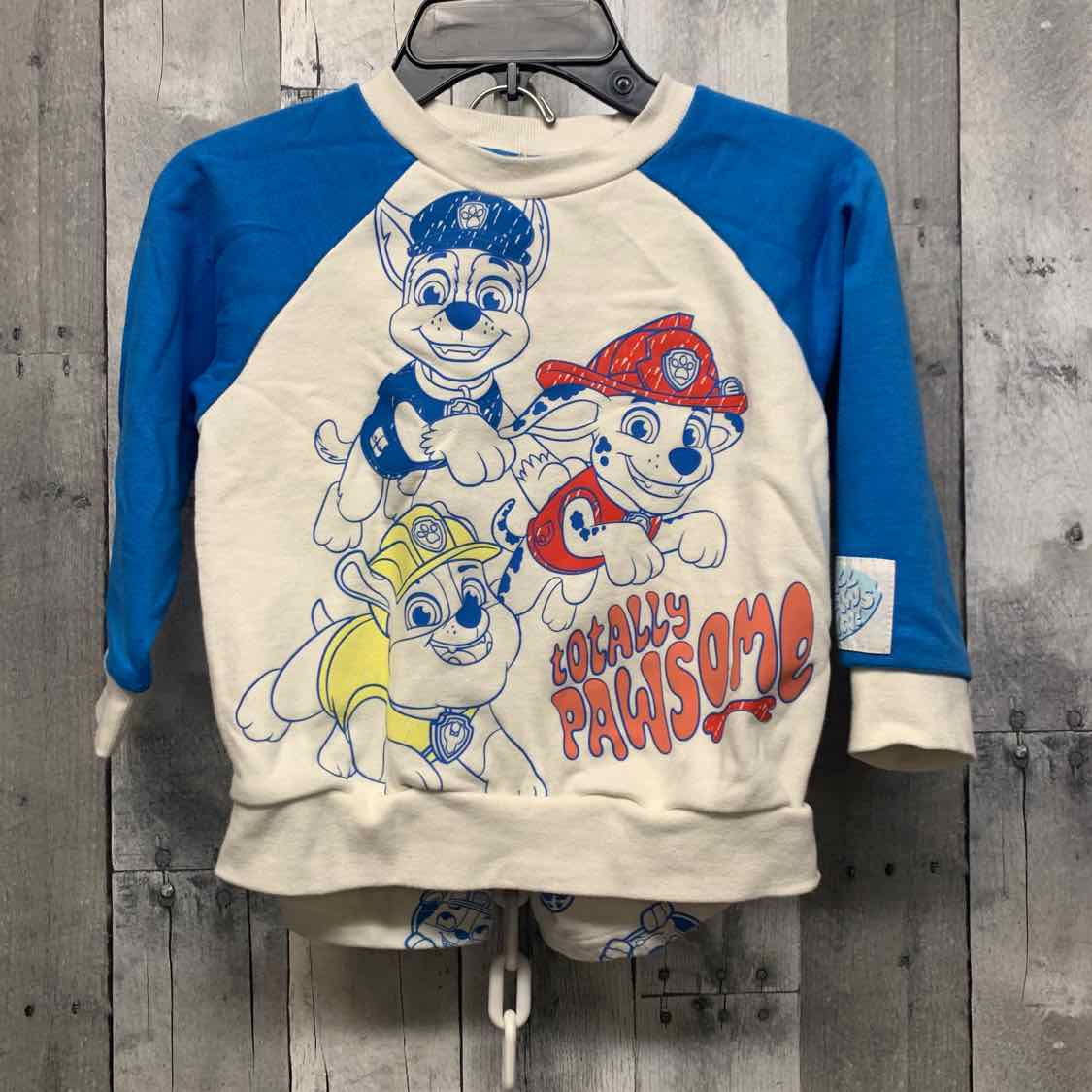 Size 4T White/Blue Paw Patrol Shirt/Shorts