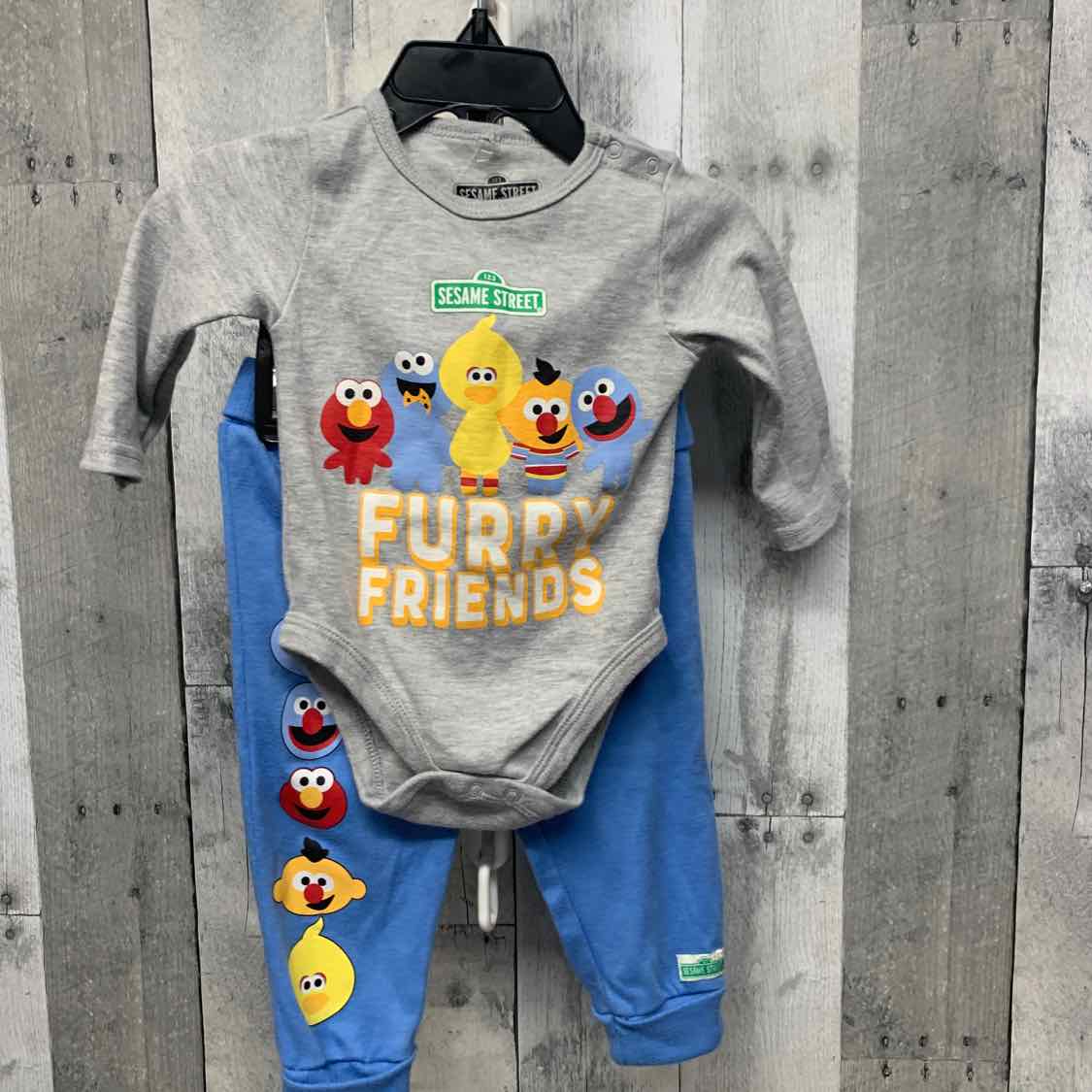 Size 9 Months Gray/Blue Sesame Street Shirt/Pants