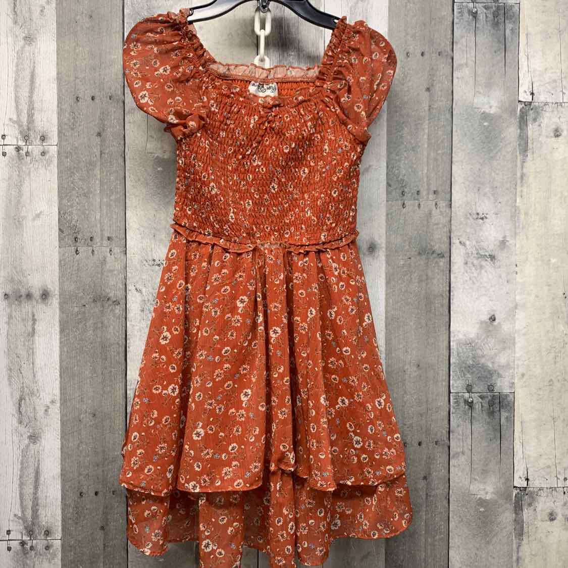 Size 12 Brown Floral Print Rare Editions Dress