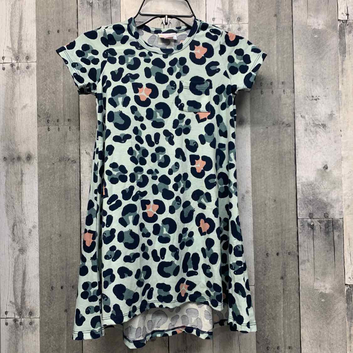 Size 6 Blue Animal Print LulaRoe Dress