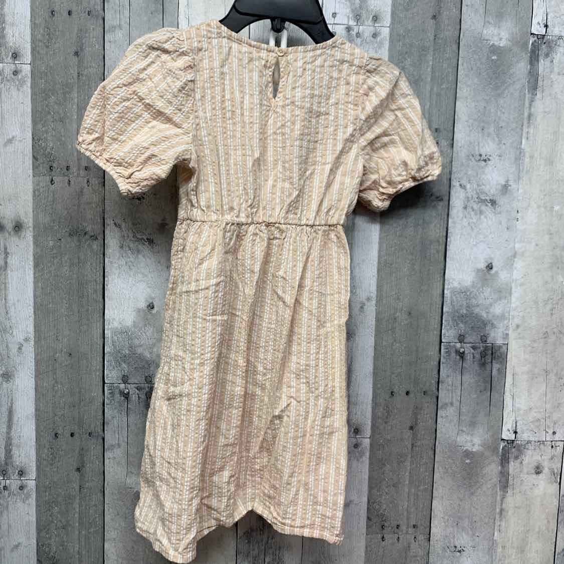 Size 6 Tan/White Thereabouts Dress