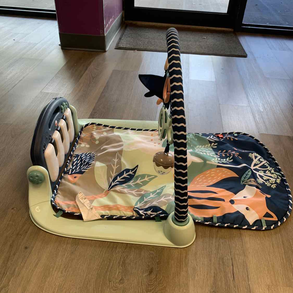 Fisher Price Teal/Blue Floor Gym