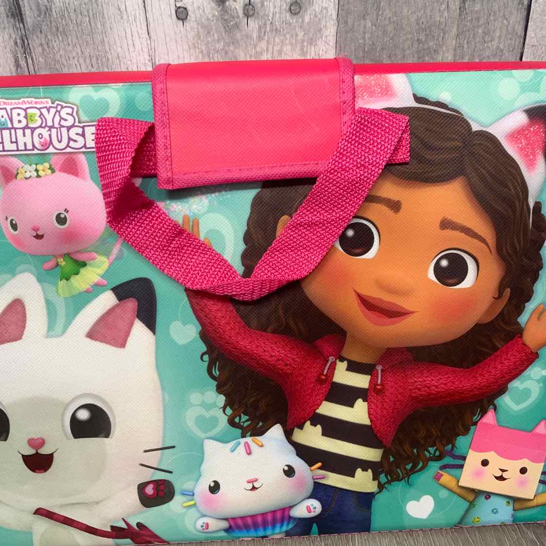 DreamWorks Pink/Teal Art Supplies
