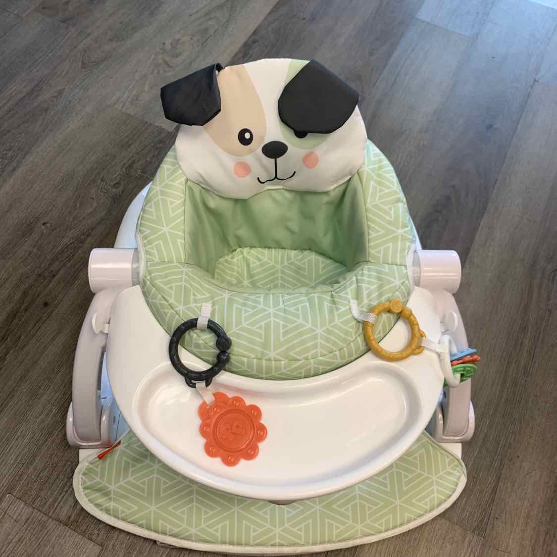 Fisher Price Green/White Infant Seat