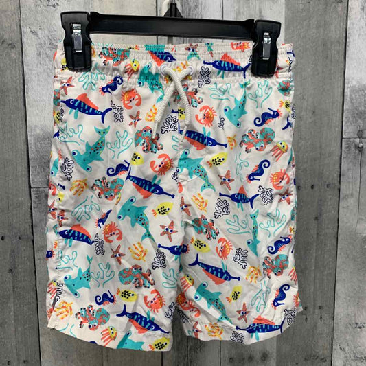 Toddler Boys' Swim Wear
