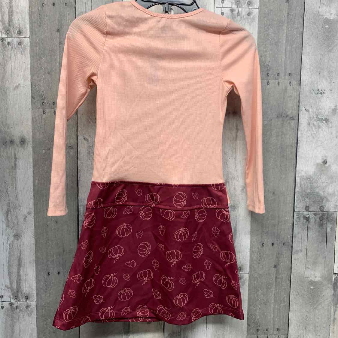 Size 6 Pink Graphic B Brand LS Dress