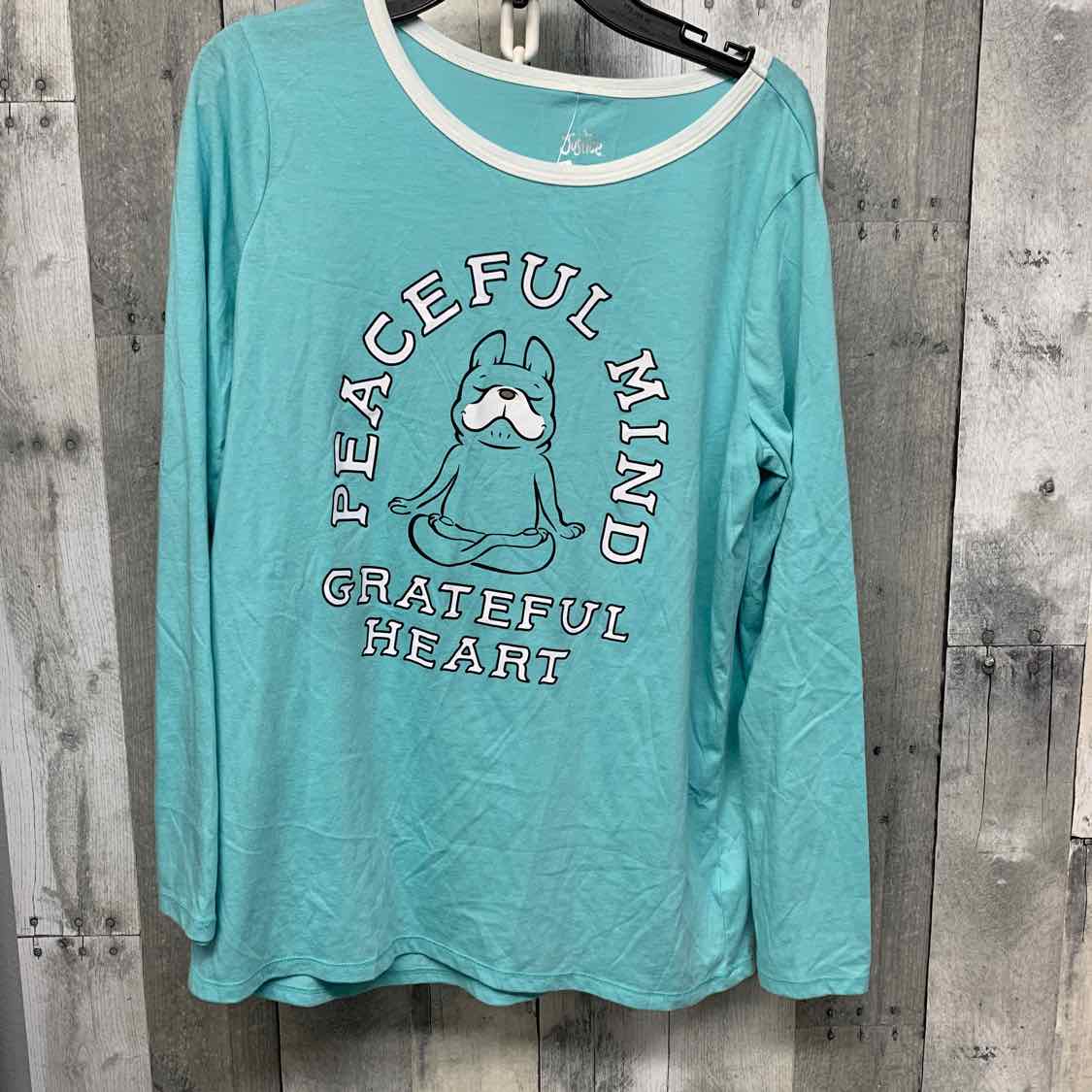 Size 16/18 Teal Graphic Justice Long Sleeve Shirt