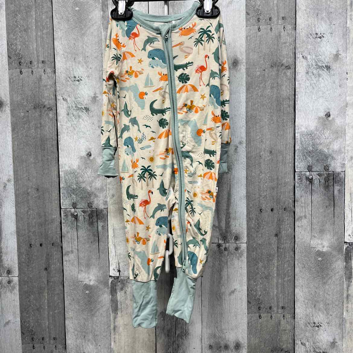 Size 3-6 Months Tan/Green Boutique Brand Footy PJs