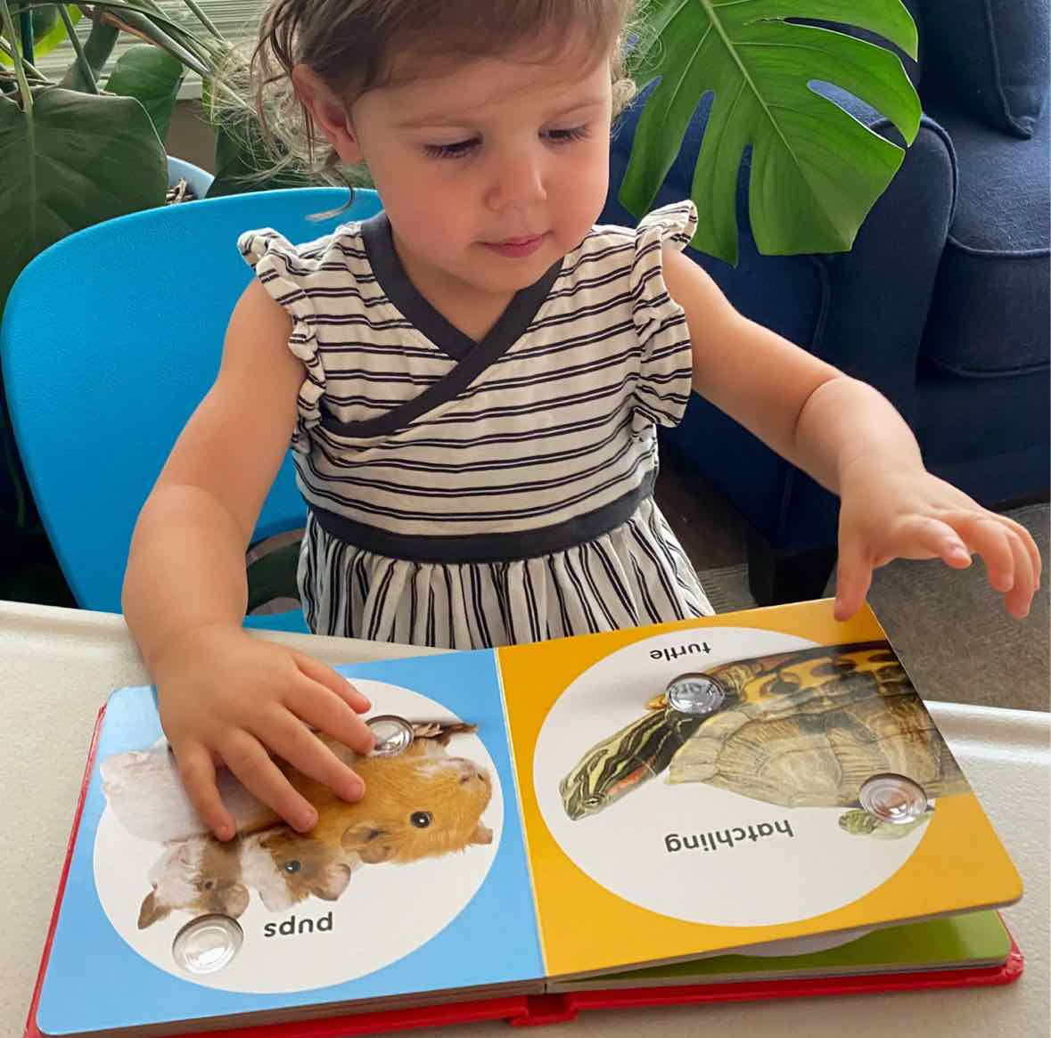 Melissa & Doug Poke-A-Dot - Pet Families