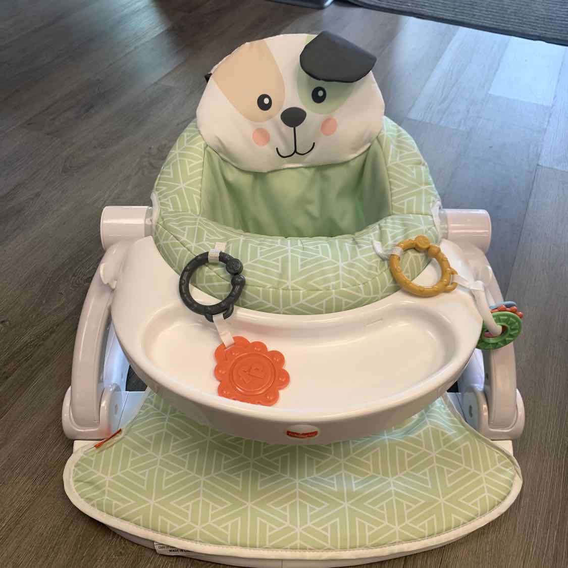 Fisher Price Green/White Infant Seat