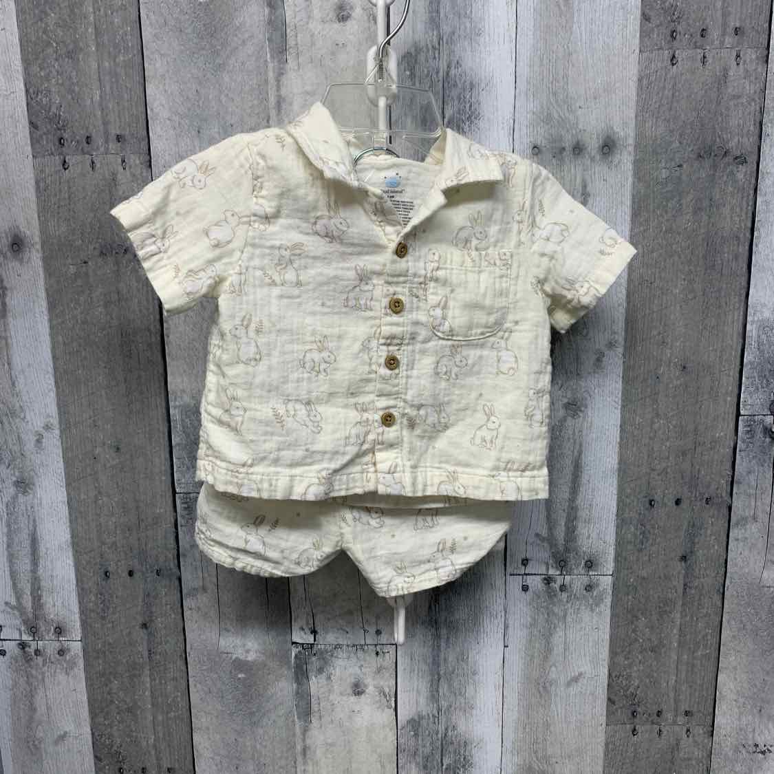 Size 3-6 Months Tan Print Cloud Island Shirt/Shorts