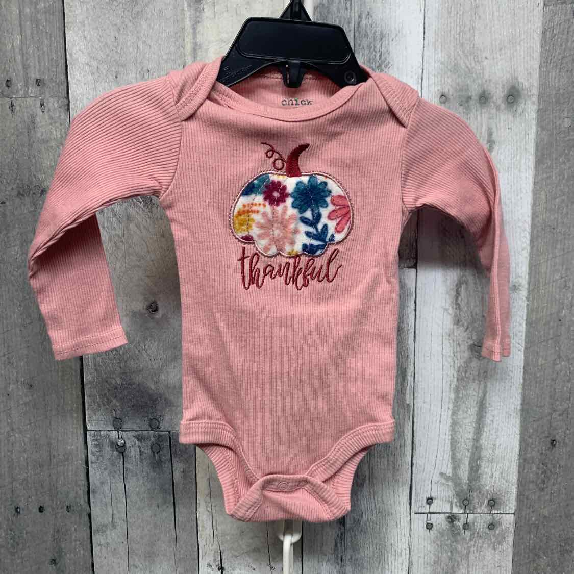Size 6-9 Months Pink Graphic Chick Pea Bodysuit