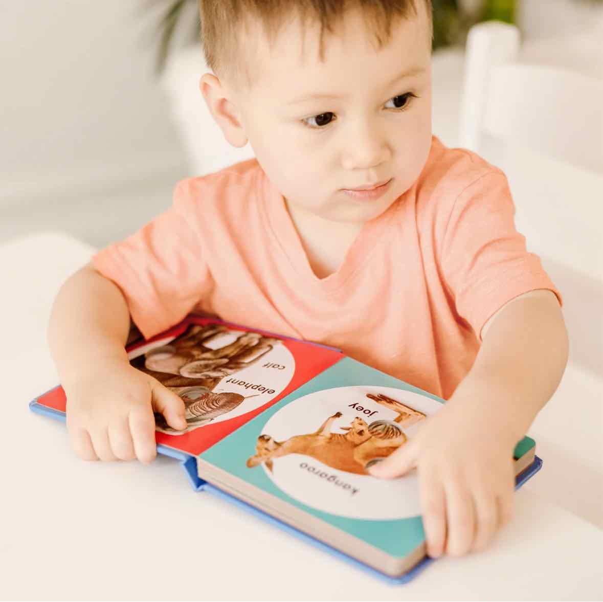 Melissa & Doug Poke-A-Dot - Wild Animal Families