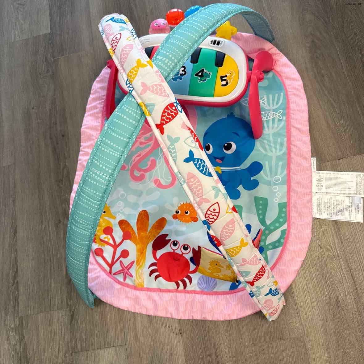 Baby Einstein Pink/Blue Floor Gym - OodlesCB