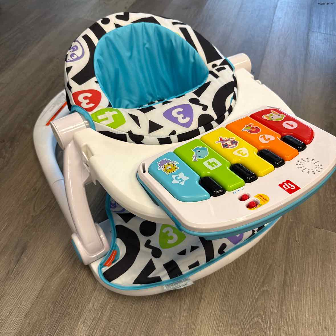 Fisher Price Blue/White Infant Seat